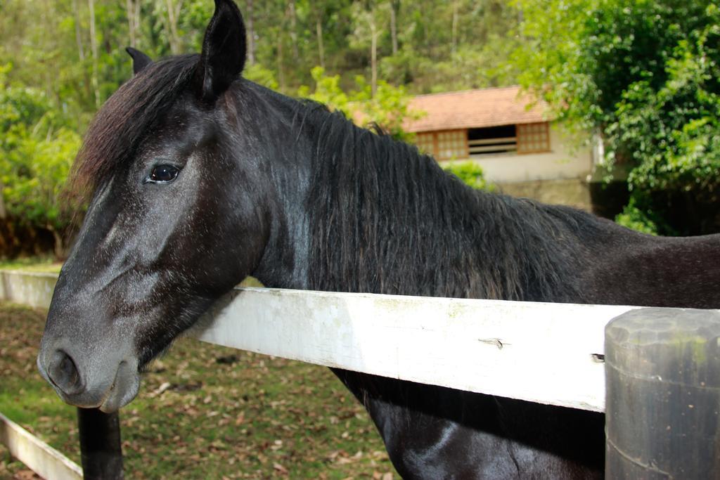 Hotel Fazenda Serraverde Pouso Alto Kültér fotó